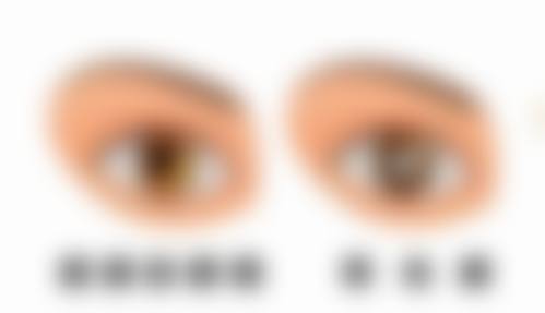 南阳市第一人民医院眼科地址电话营业时间