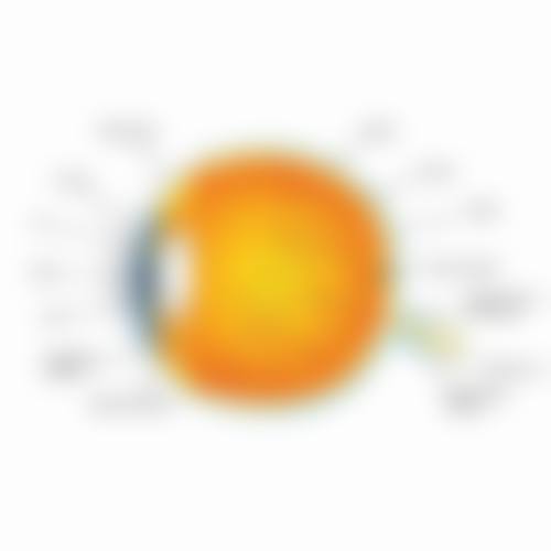 南阳市第一人民医院眼科详细的预约挂号方式及流程