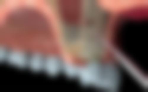 亲民收费标准，透明消费无忧