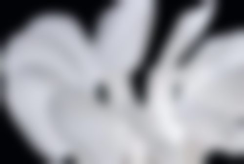 洗牙前停用抗凝药物