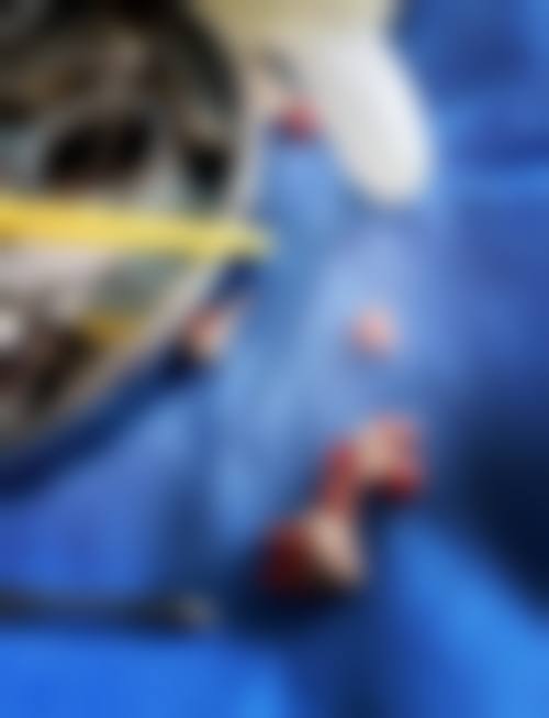 金院长坐诊医院