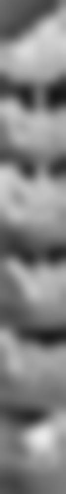 宁波奉化牙卫仕口腔诊所是正规医院吗？