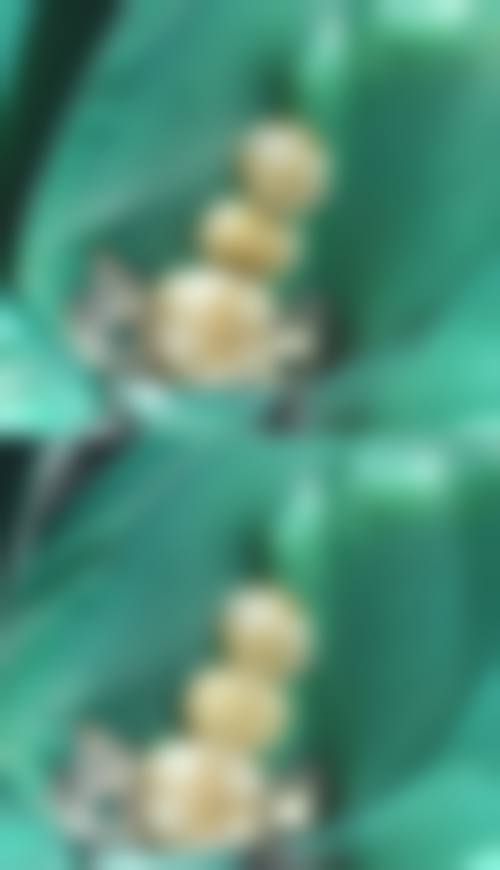 患者评价与口碑