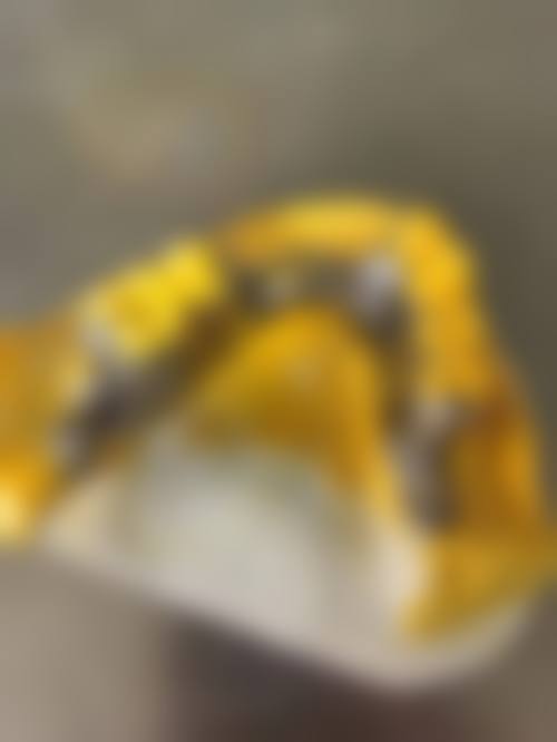 温院长坐诊医院