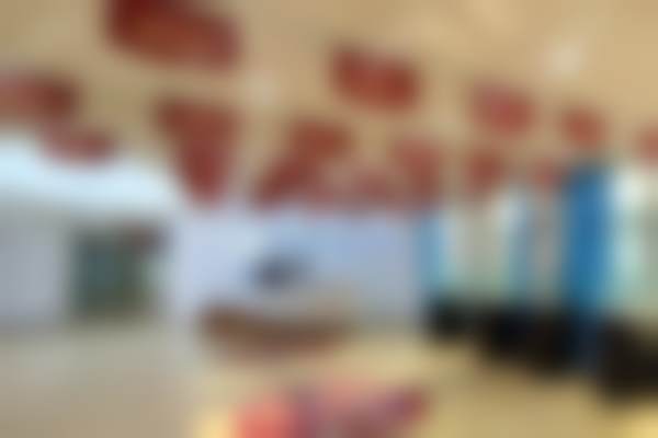 枣庄市市中诺牙博士口腔门诊部地址电话营业时间