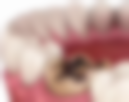 {哈尔滨隐形矫正24小时在线咨询：靠谱！圣琪口腔数字化正畸，时代天使2万起，隐适美3.6万起 