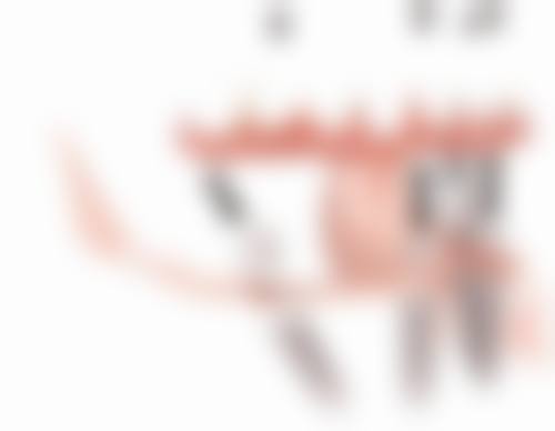 刘文彤医生与三亚鼎点口腔