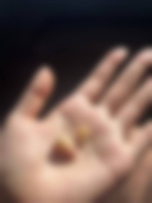 收费价格：公开透明，合理实惠