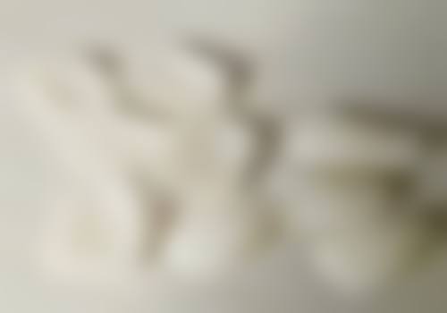 罗医生技术优势