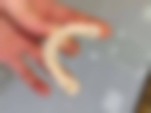 金志平医生坐诊医院