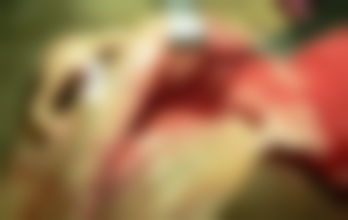 上海丛磊口腔详细的预约挂号方式及流程