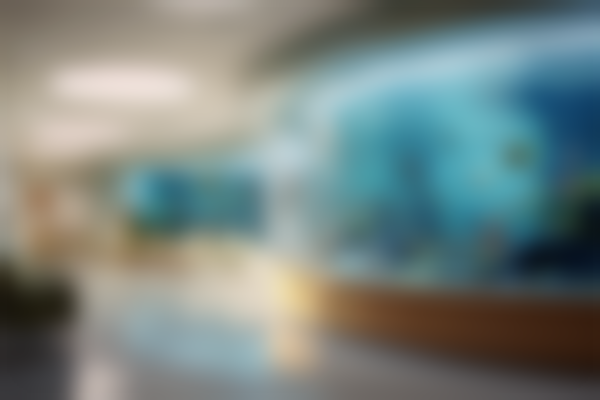 拜博口腔（大连高新区口腔门诊）