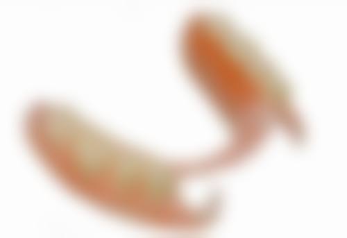 牙齿美白贴片的局限性