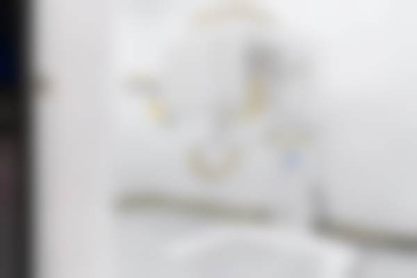 上海瑞伢美口腔连锁（铭奥口腔）价格表/收费标准