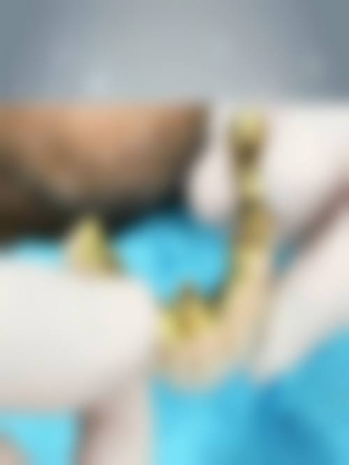 专精团队护航，