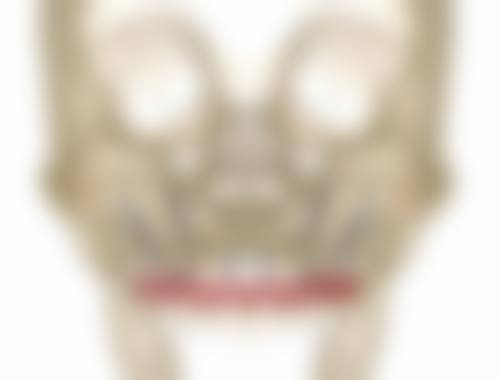 包头义隆口腔其他项目收费情况