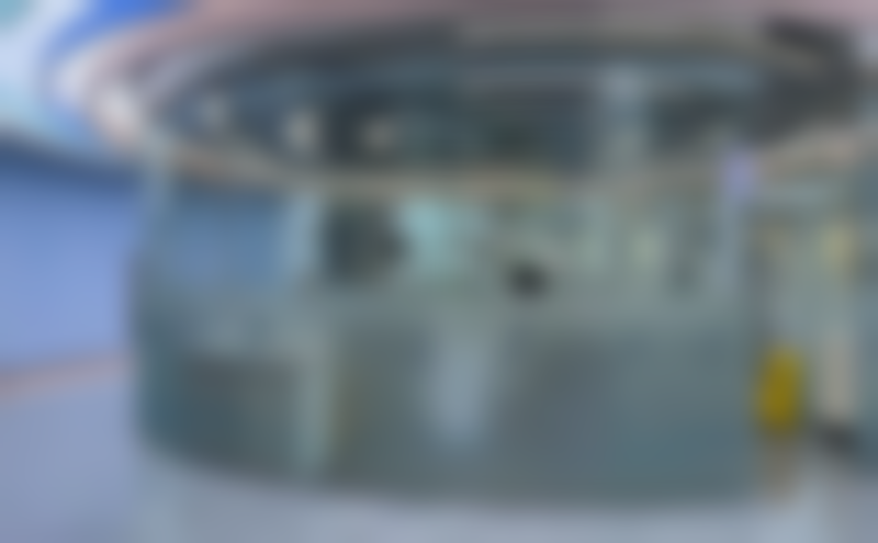 智宁波院长擅长项目