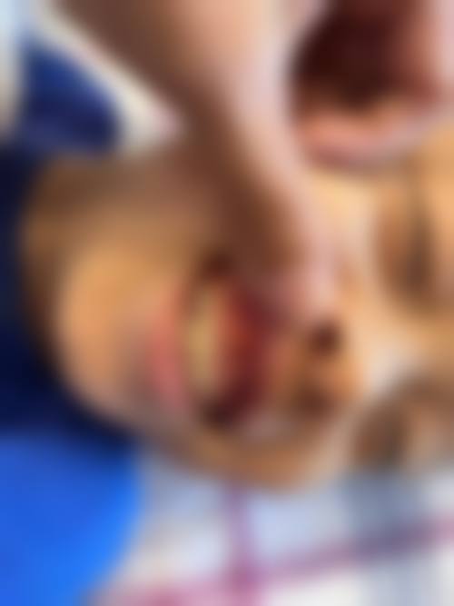 宜昌儿童牙科医生24小时在线询问：总结与展望