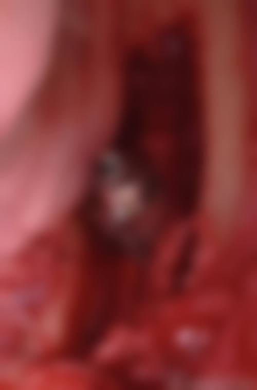 黑龙江省补牙医院排行榜：多家优质医院可选