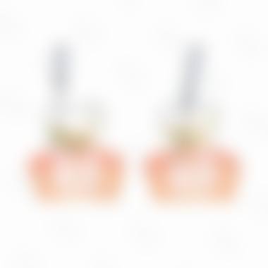 拔牙机构优势分析