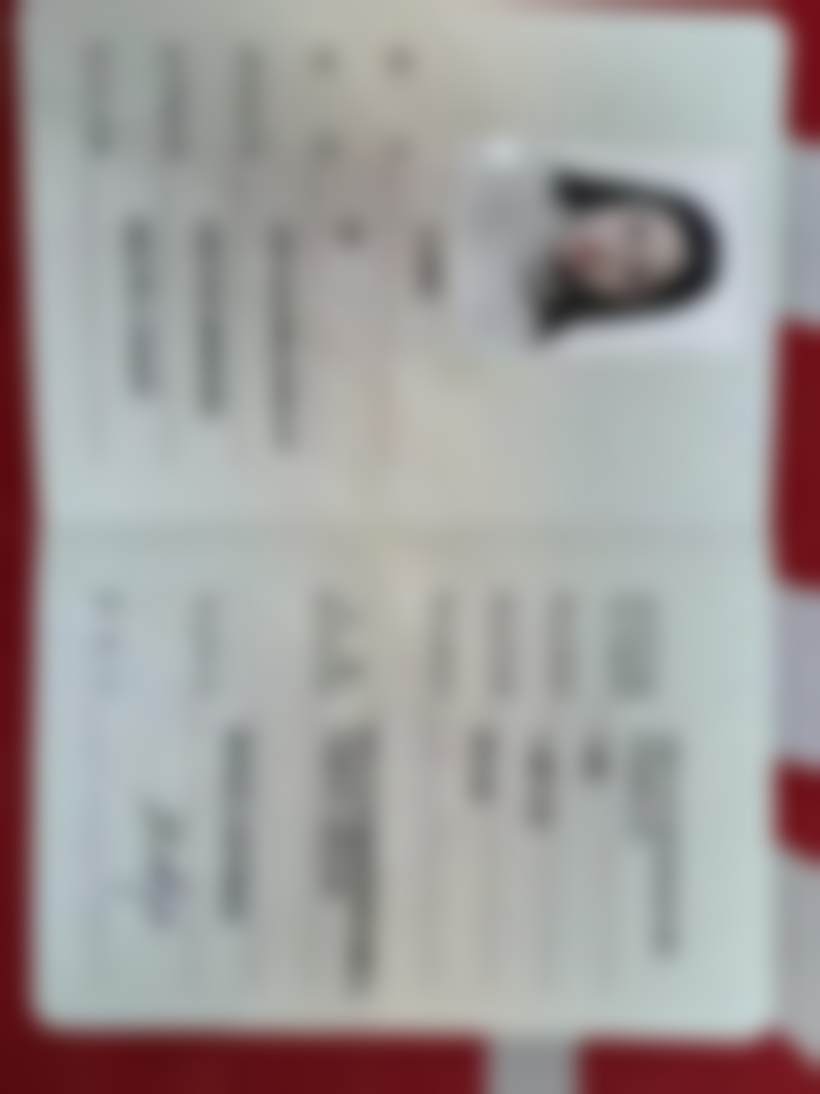 二、3M树脂补牙P60的特点