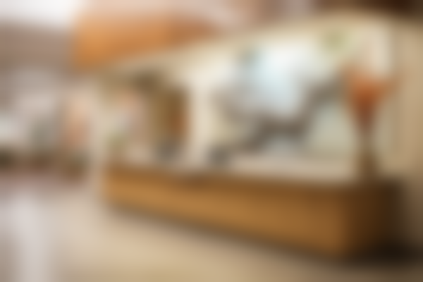 青岛凯森口腔诊所