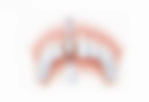 牙齿修复：多种方式满足不同需求