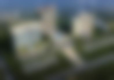 李金莲医生技术优势