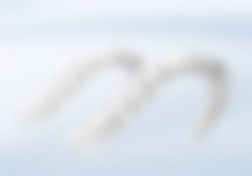 长沙天心文飞口腔诊所医生团队：真实医师+专精擅长