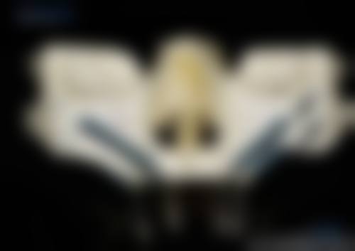 四、瑞士种植牙通用选购攻略大公开