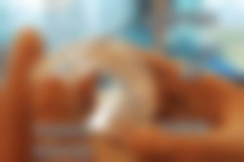 陕西商洛西卓口腔诊所整体情况介绍