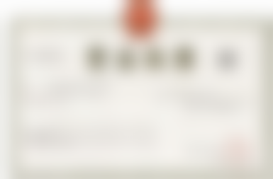 二、威兰德全瓷冠的材料优势