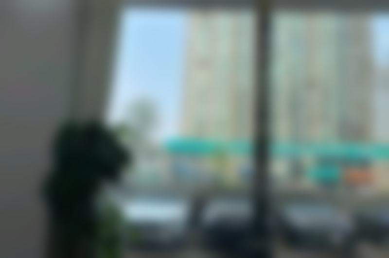 叶丽萍
