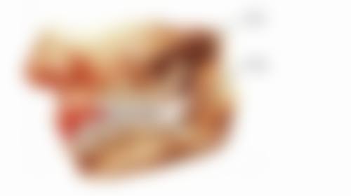 厦门齿度口腔门诊部(嘉禾店)患者常见问题解答