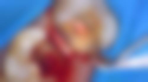特色科室与诊疗项目:全方面覆盖口腔健康需求