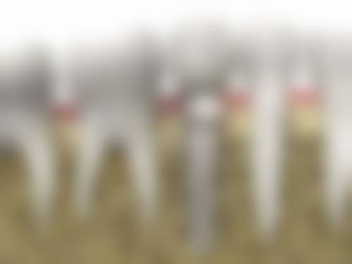 常见问题(FAQ)