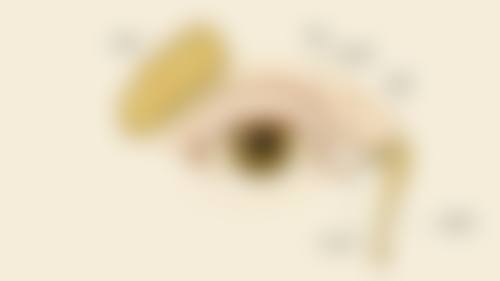 具有影响力医生团队