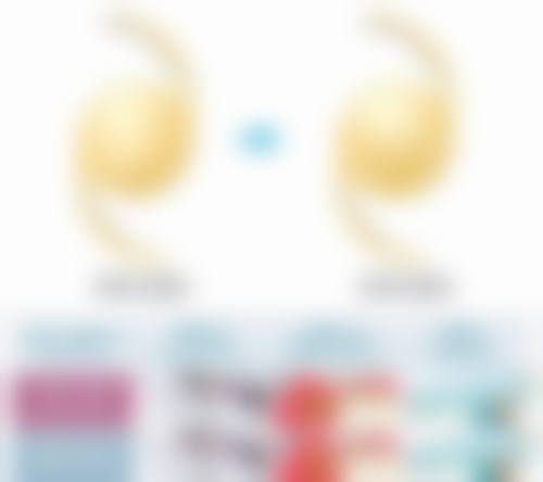 擅长项目详解