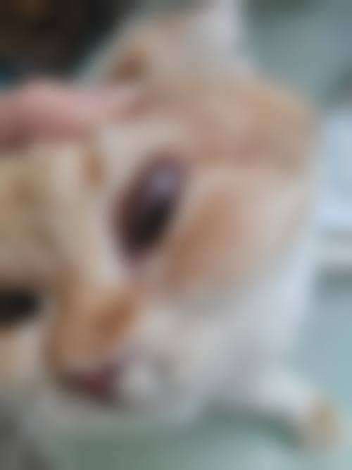 临床实例分享
