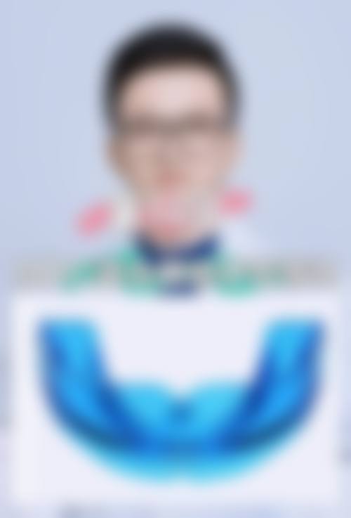 擅长项目详解