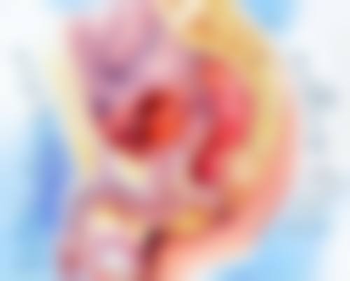 医院资质与专精实力