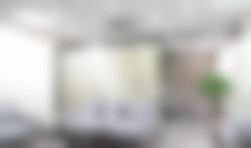擅长项目详解