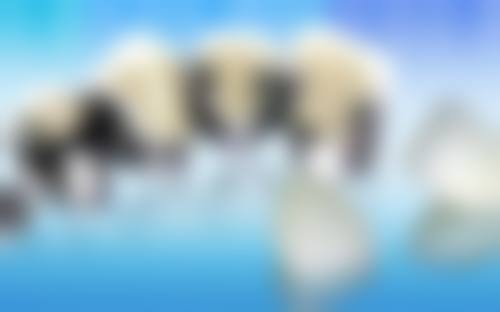 热门项目优惠详情