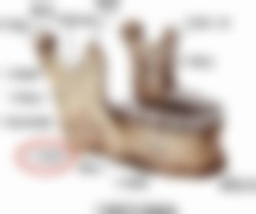 诊疗特色总结