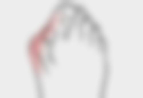 常见问题解答 (FAQ)